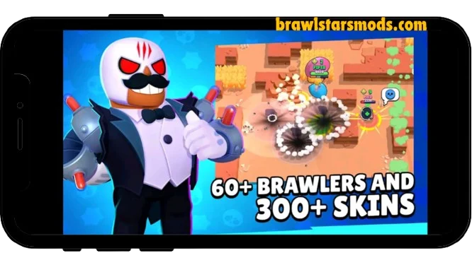 Brawlers or Skins
